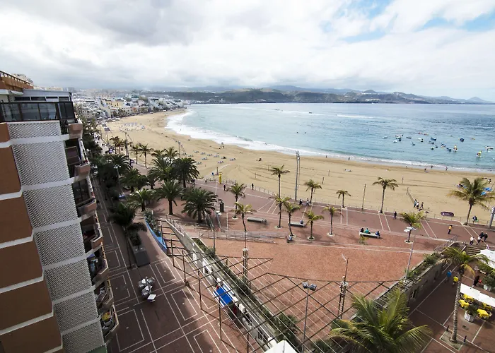 Aloe Canteras Las Palmas de Gran Canaria
